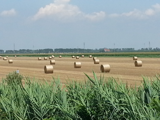 campagna